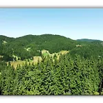 T&m Pamporovo