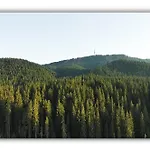 Apartament T&m