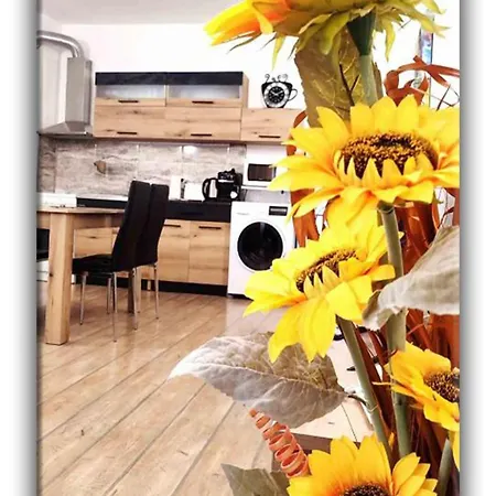 アパート Teo And Miki 612 パンポロボ