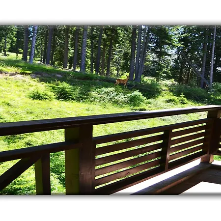 Teo And Miki 612 アパート