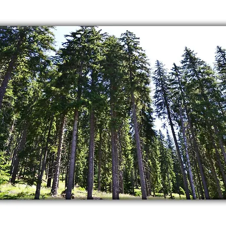 Teo And Miki 612 アパート *