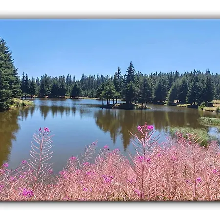 Teo And Miki 612 アパート