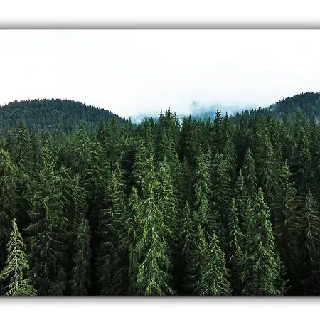 Teo And Miki 612 アパート パンポロボ