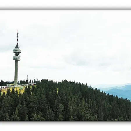 Teo And Miki 612 * パンポロボ