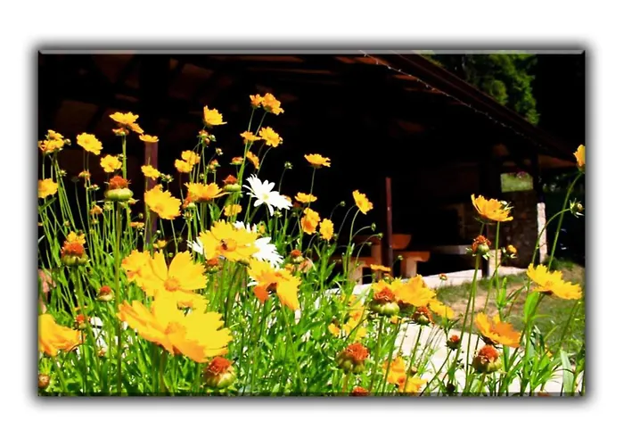 Appartement Teo And Miki 612