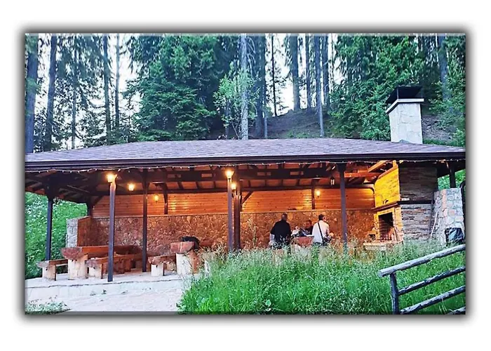 Appartement Teo And Miki 612 Pamporovo