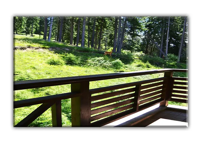 Teo And Miki 612 Appartement