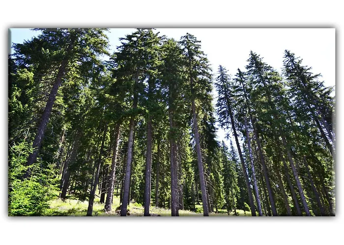 Teo And Miki 612 Appartement *