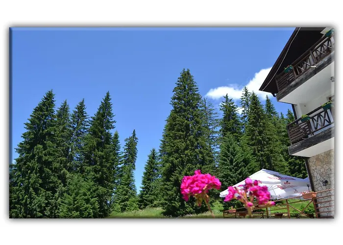 Teo And Miki 612 Pamporovo