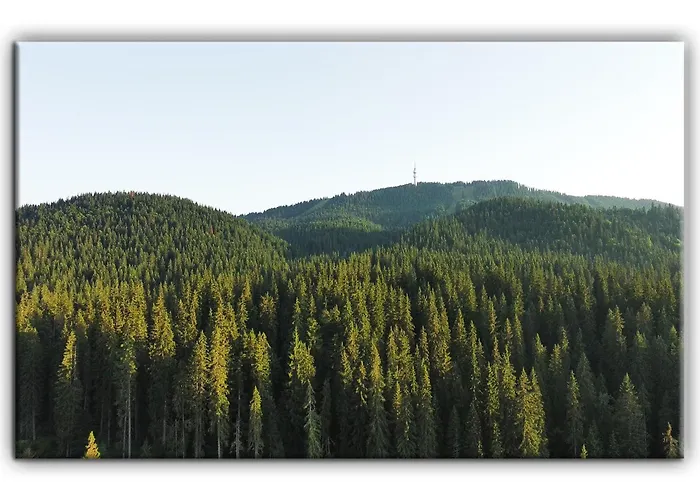 Appartement Teo And Miki 612