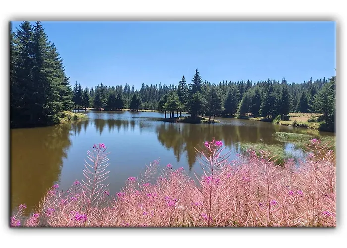 Teo And Miki 612 Appartement