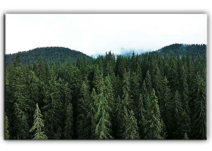 Teo And Miki 612 Appartement Pamporovo